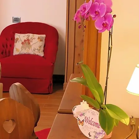 Otel Dream 3*