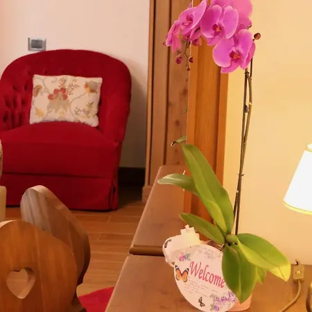 Otel Dream 3*