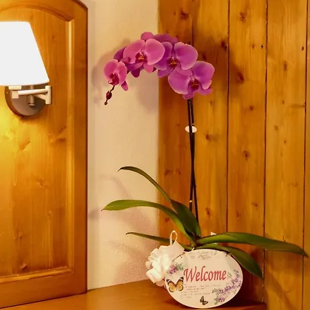 Dream Hotel Macugnaga